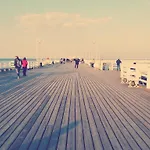 Haffnera 10